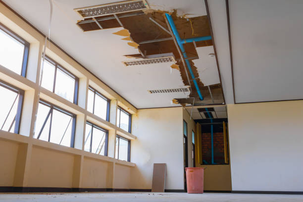 Best 24/7 water damage repair  in Blue Ridge, TX