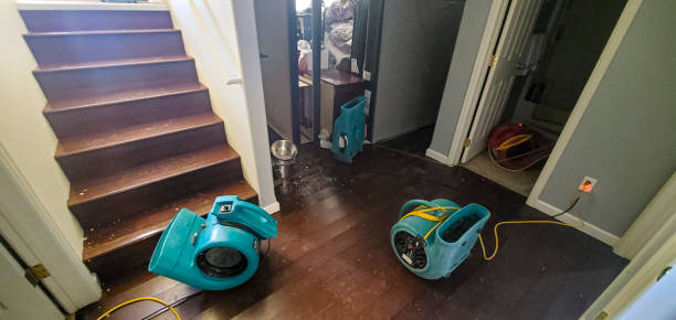  Blue Ridge, TX Water damage restoration Pros