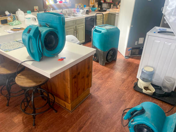 Best Flood damage cleanup  in Blue Ridge, TX