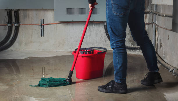 Best Fire Damage Restoration  in Blue Ridge, TX