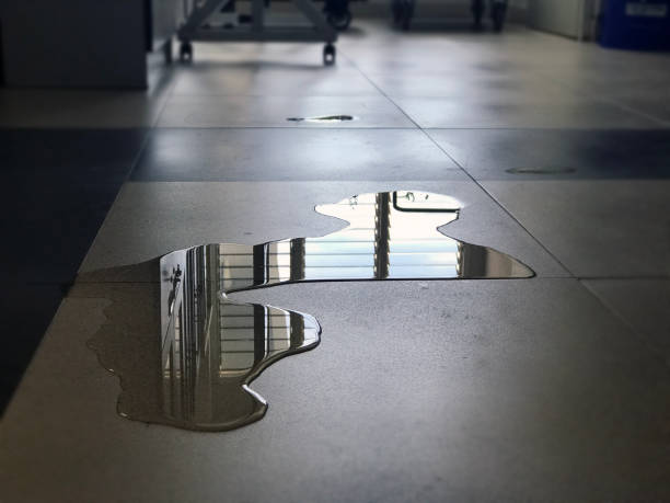 Best Professional water damage repair  in Blue Ridge, TX