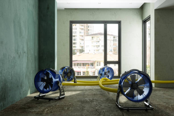 Best Residential water damage restoration  in Blue Ridge, TX